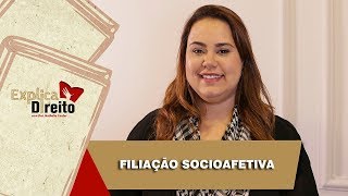 Explica Direito Filiação Socioafetiva  2019 [upl. by Gianina873]