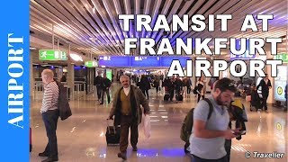 TRANSIT WALK AT FRANKFURT Airport FRA Terminal 1  Connection Flight Transfer Arriving amp Departing [upl. by Sunday]